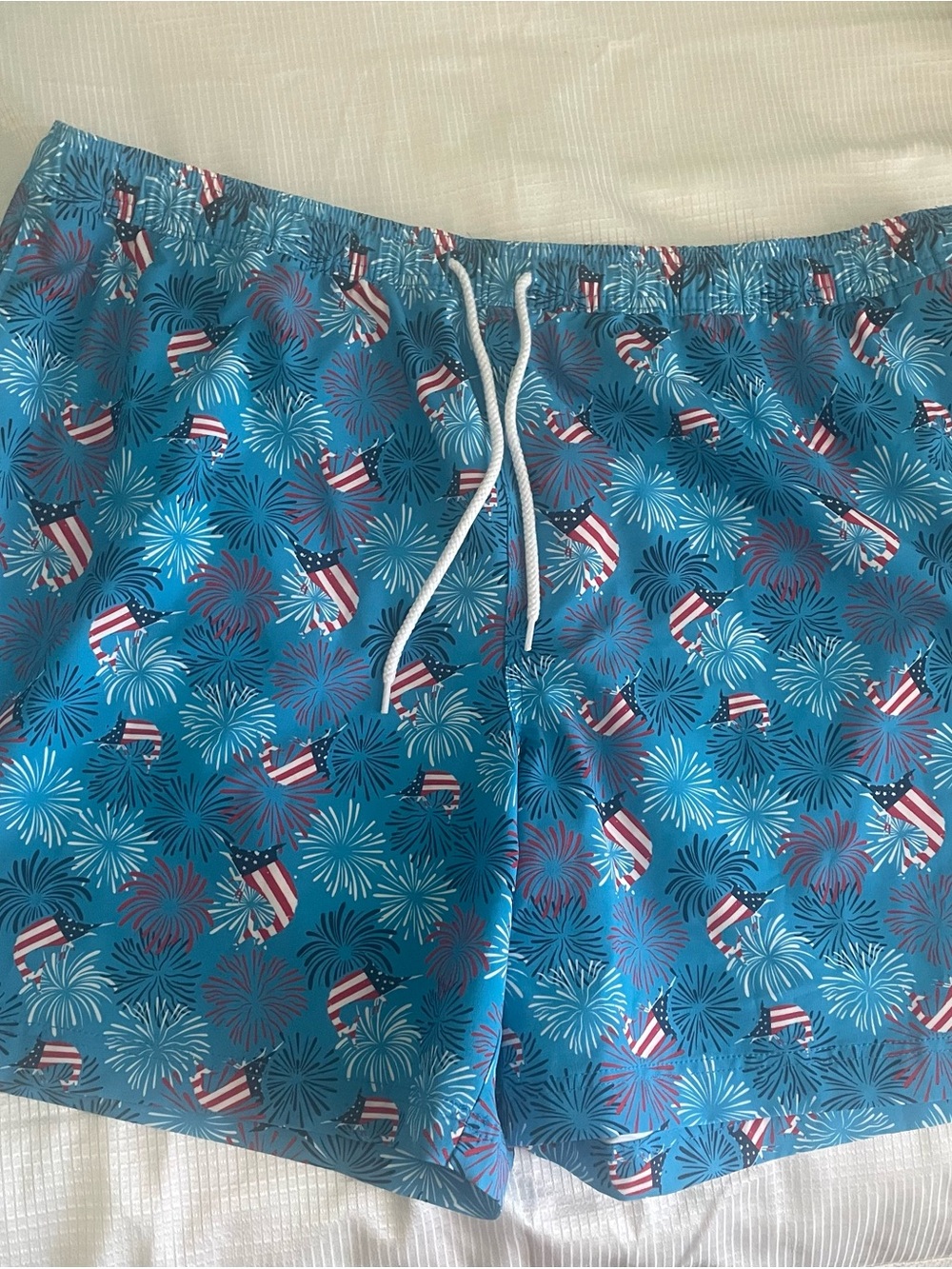 Magellan Men's Blue Fireworks & Flag Print Swim Trunks